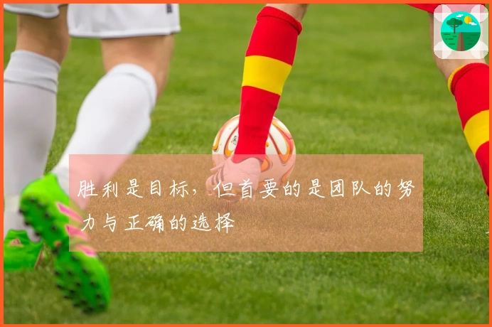 胜利是目标，但首要的是团队的努力与正确的选择