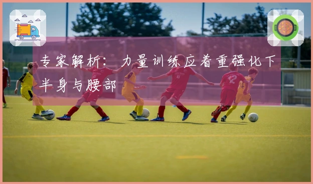 专家解析：力量训练应着重强化下半身与腰部