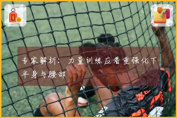 专家解析：力量训练应着重强化下半身与腰部